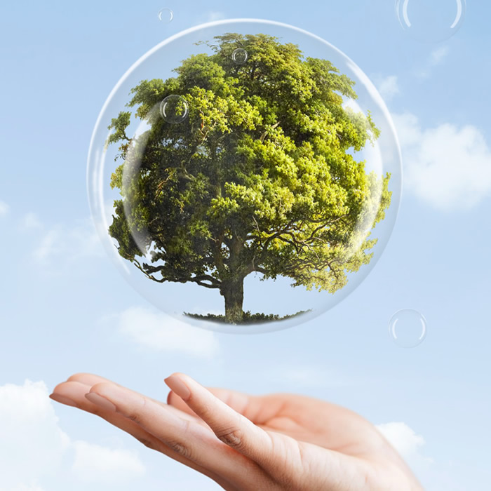 Consultoria Ambiental