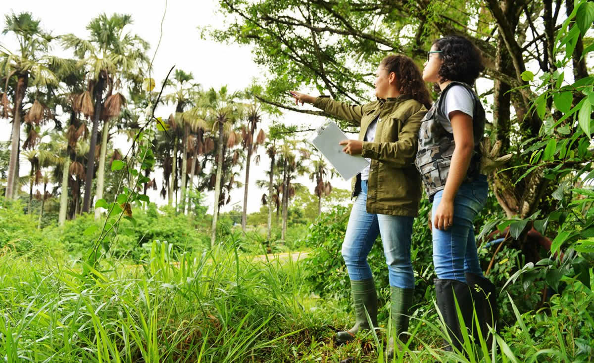 Consultoria Ambiental