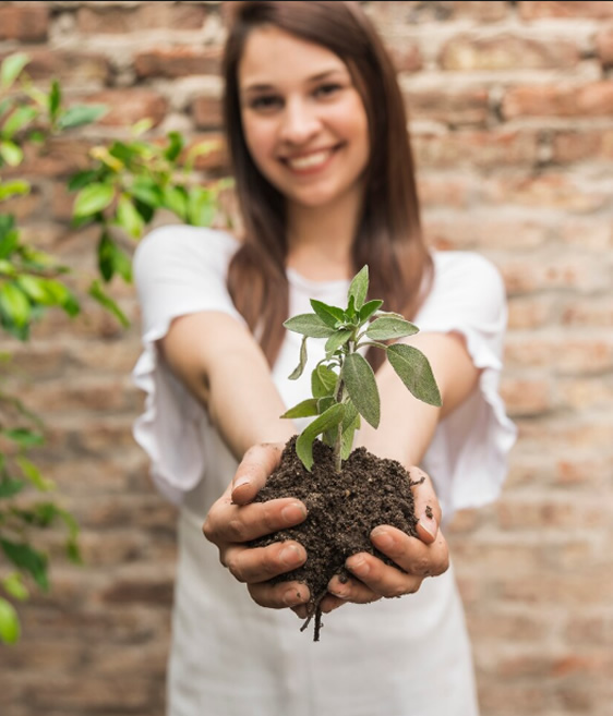 Um pouco sobre a Axion